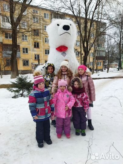 Белый мишка на поздравление