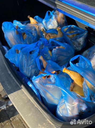 Мясо домашнего бройлера