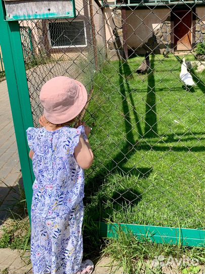 Блузка и брюки детские Mango kids 98