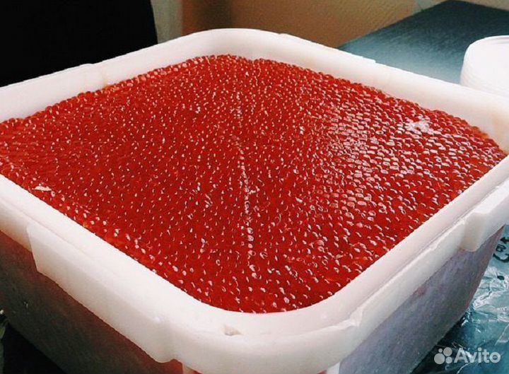 Красная икра горбуши 2023 г. оптом и мелким оптом