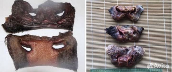 Сушеные лакомства для собак и кошек