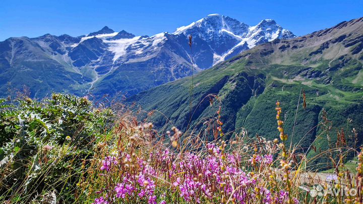 30сен24 тур Сокровища Северного Кавказа рэ3014