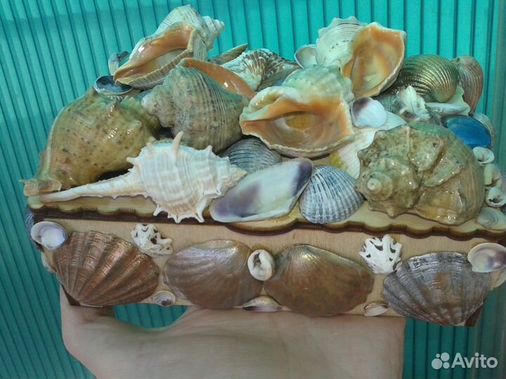 Новая шкатулка в ракушках