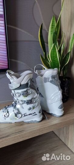 Горнолыжные ботинки