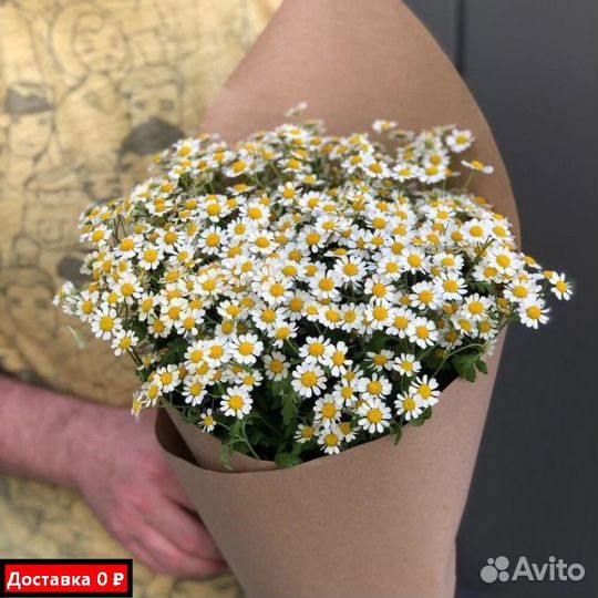 Ромашки для семейных торжеств