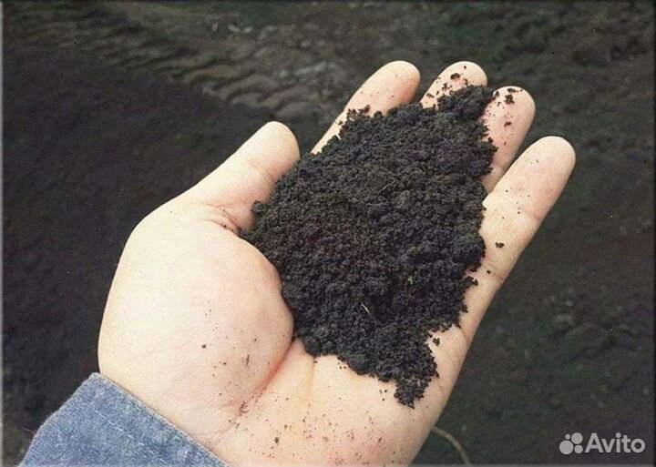 Чернозем с доставкой