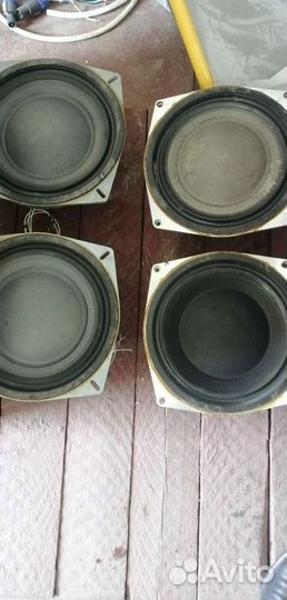 Динамики разные