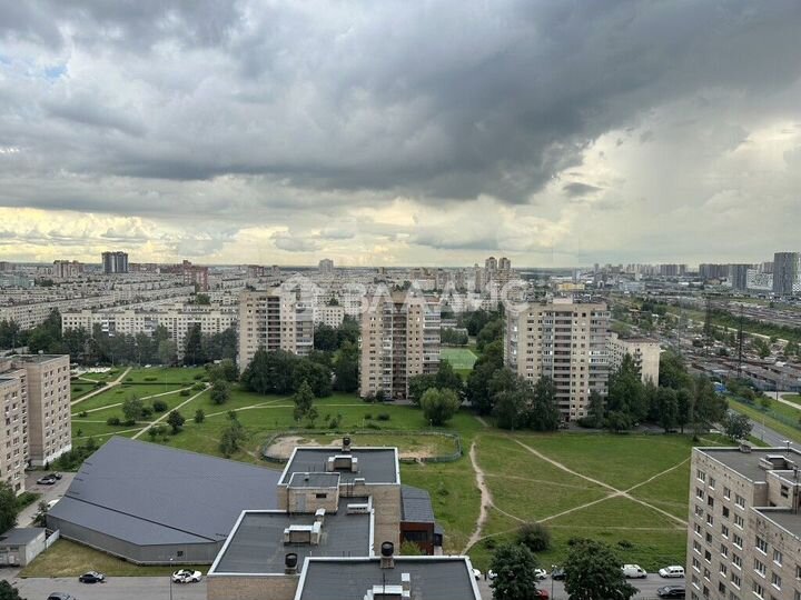 2-к. квартира, 55,5 м², 19/19 эт.