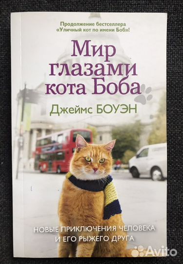 Книга «Мир глазами кота Боба»