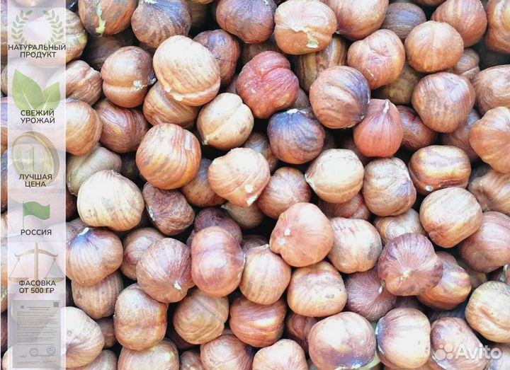 Фундук очищенный сырой, жареный, в шоколаде