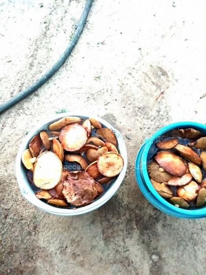 Дом 45,8 м² на участке 9,5 сот.