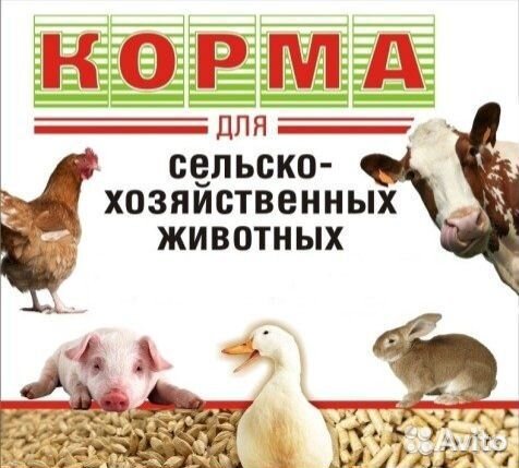 Комбикорм