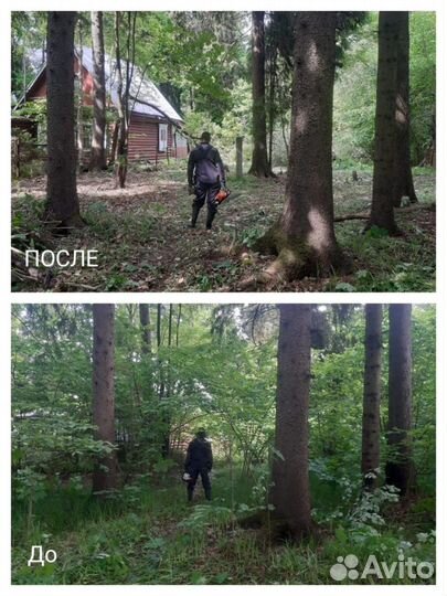 Спил деревьев, удаление пней, расчистка участков
