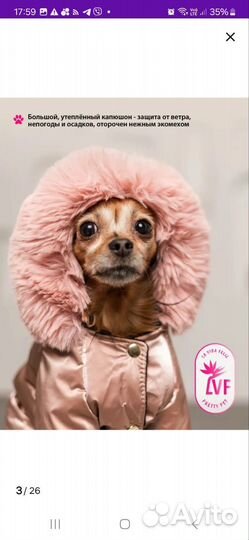 Комбинезон для маленькой собаки (девочки) зимний