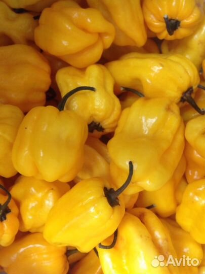Семена острых перцев хабанеро, рокото итд