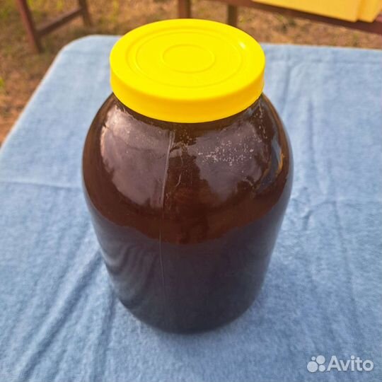 Мед гречишный, Иван чай 2023