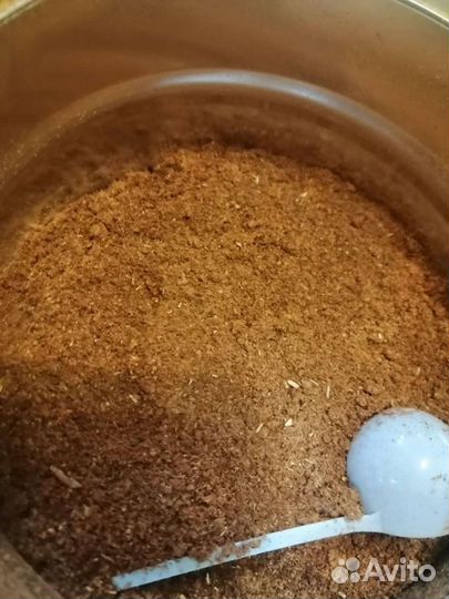 Пижма растение