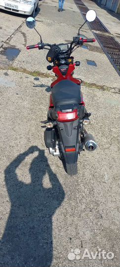 Vento naked 50 (150)