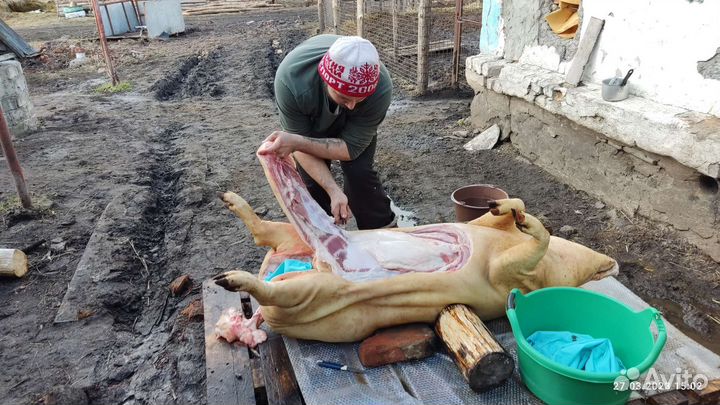 Резак. Забой скота - свиньи,крс,срочный убой скота