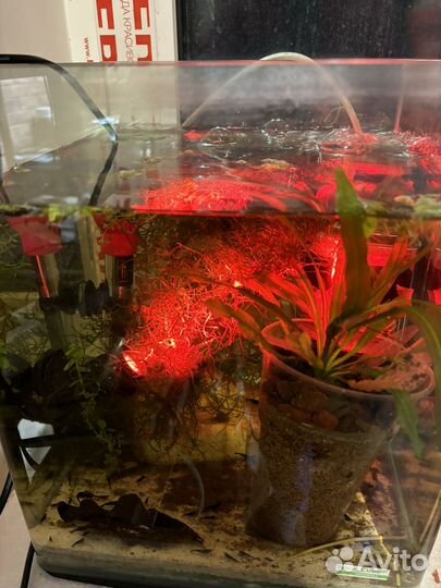 Fluval Prism 2.0 аквариумный подводный прожектор
