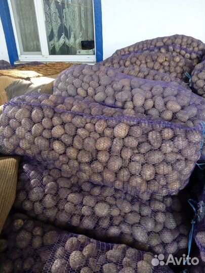 Овощи опт и розница