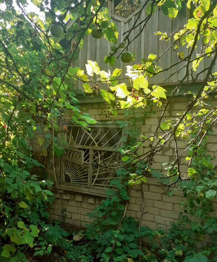 Дача 25 м² на участке 6 сот.