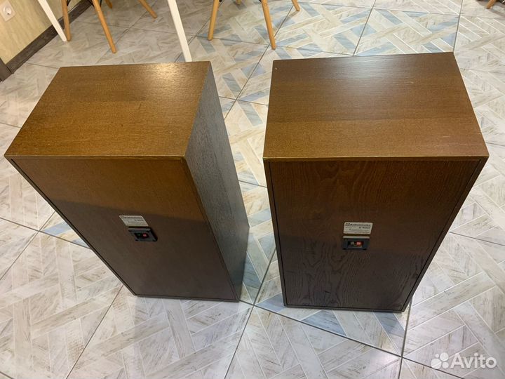 Колонки Radiotehnika S-90D