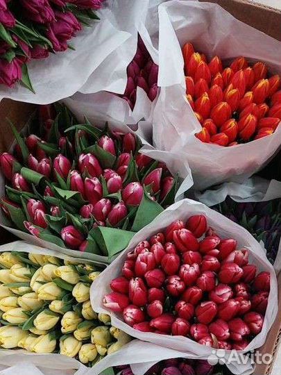 Тюльпаны оптом к 8 марта