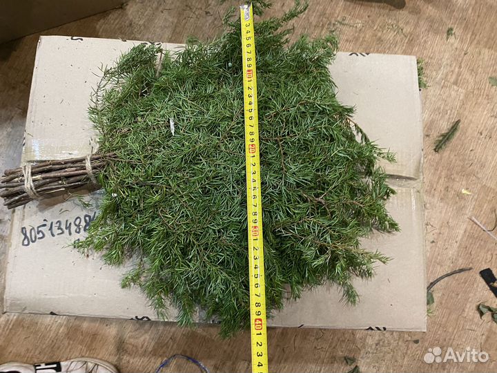 Можевеловый веник для бани,свежий