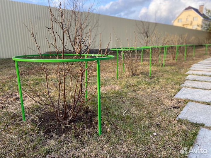 Кустодержатель Найди для смородины и крыжовника