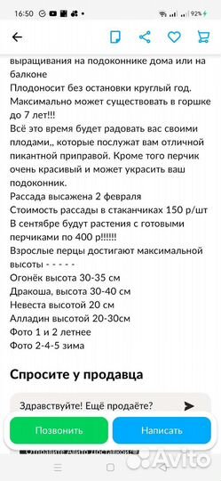Рассада перцев