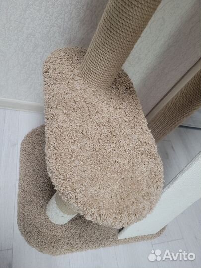 Когтеточка