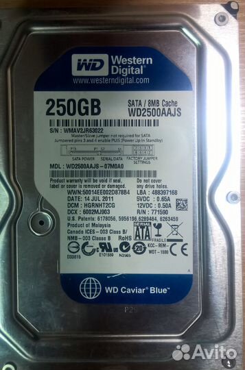 HDD WD2500 Caviar Blue 250 Gb