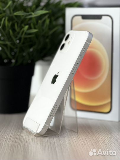 iPhone 12, 128 ГБ