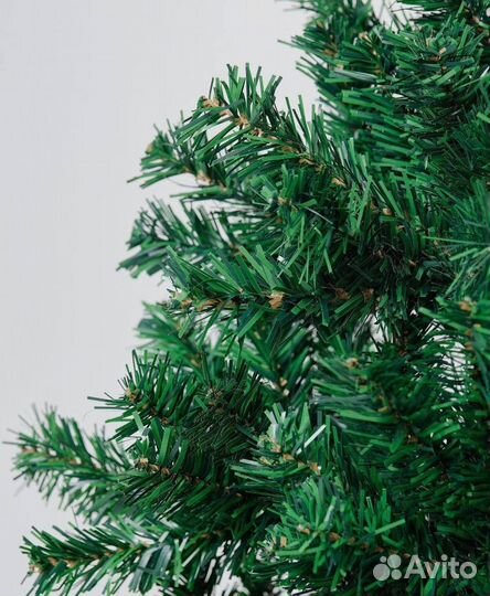 Ель классическая / Доставка