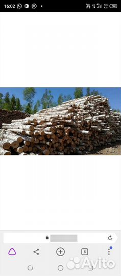 Срубы по 4тр кв м ищу оптовика