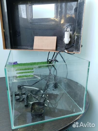 Аквариум