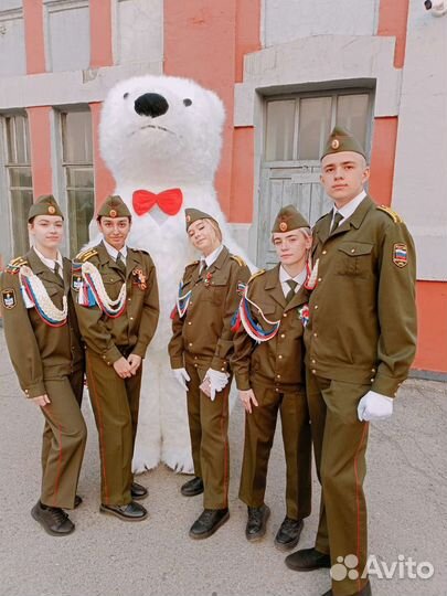 Белый мишка поздравление