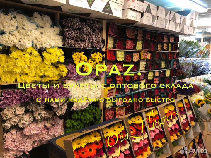 Розы высокие 100см 150 см