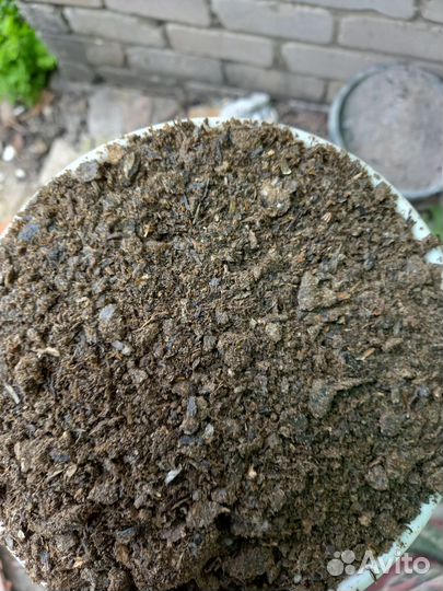 Жмых подсолнечный Макуха для Рыбалки Пахучий