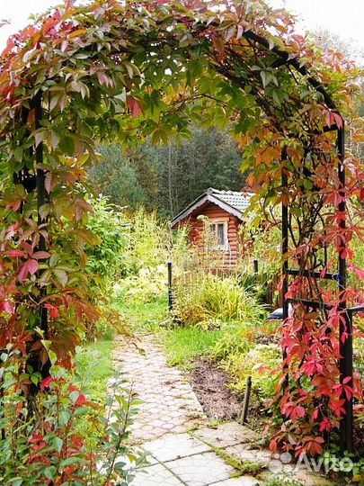 Декоративные лианы