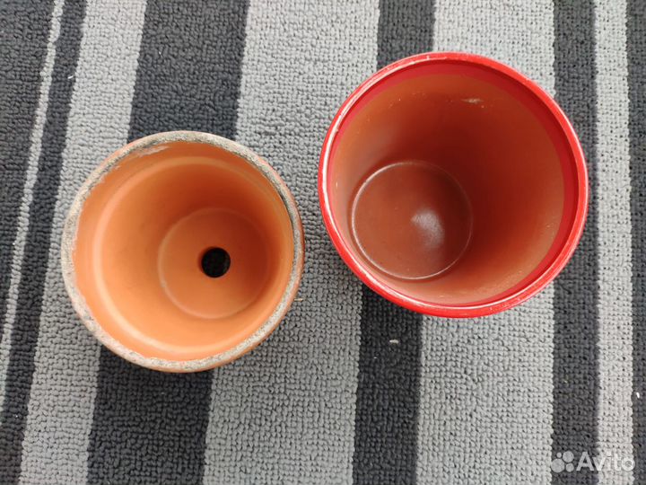 Горшок цветочный кактус яркий