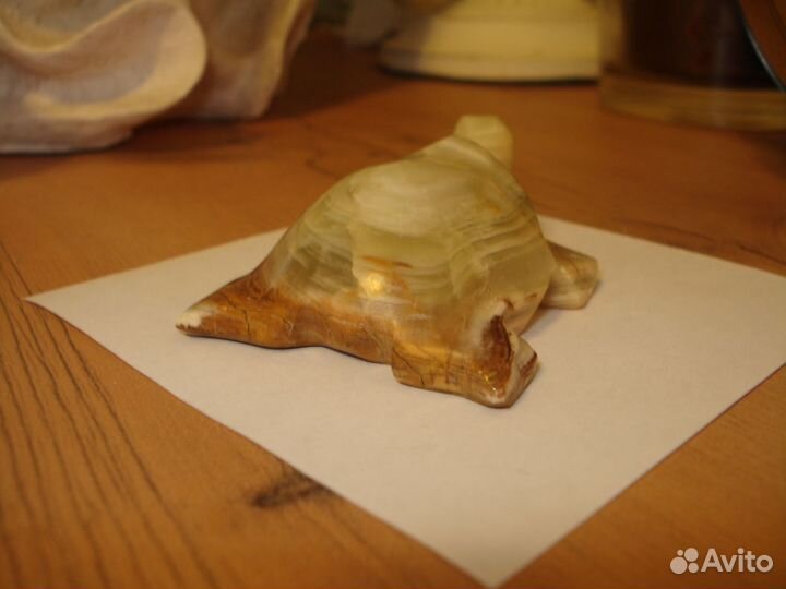 Черепаха оникс