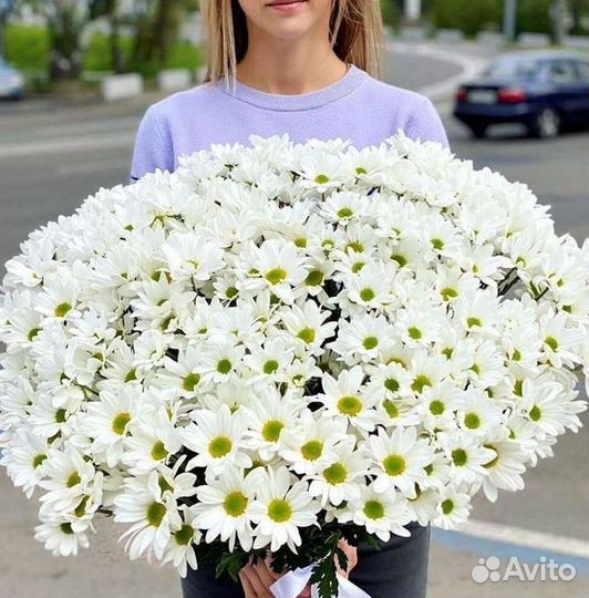 Хризантема. Букеты Цветы доставка