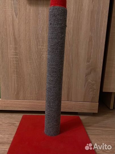 Когтеточка