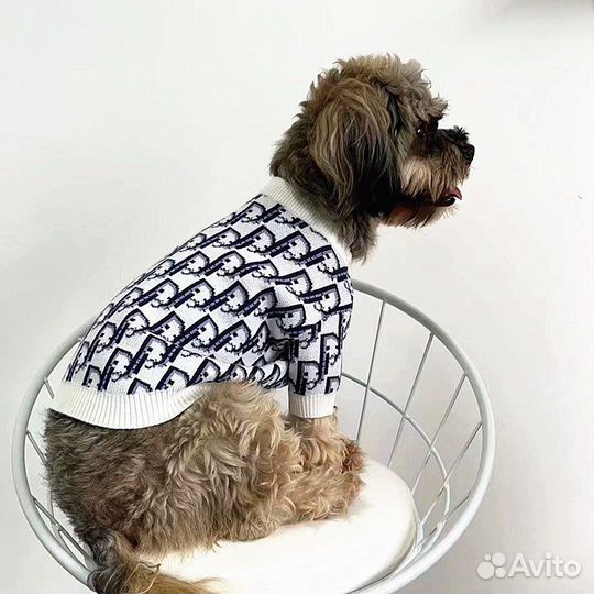 Одежда для собак