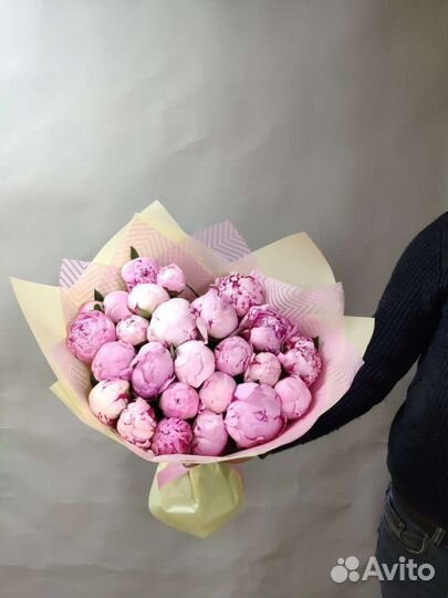 Пионы голландский