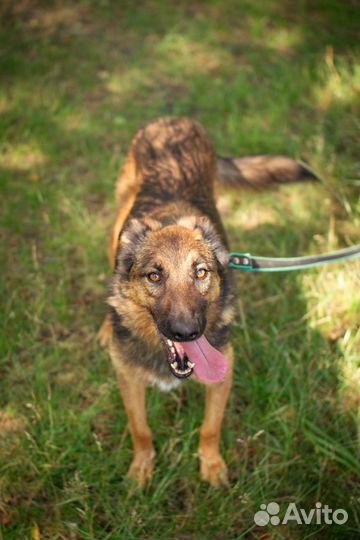 Молодая Конфетка ищет заботливую семью