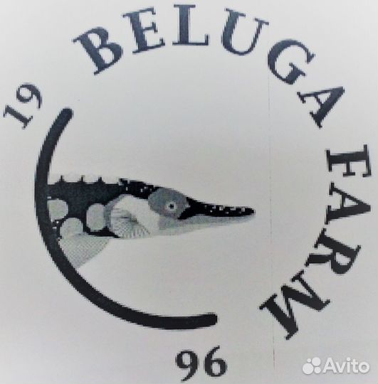 Продавец продовольственных товаров