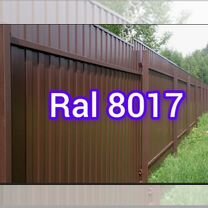 Профлист Ral 8017